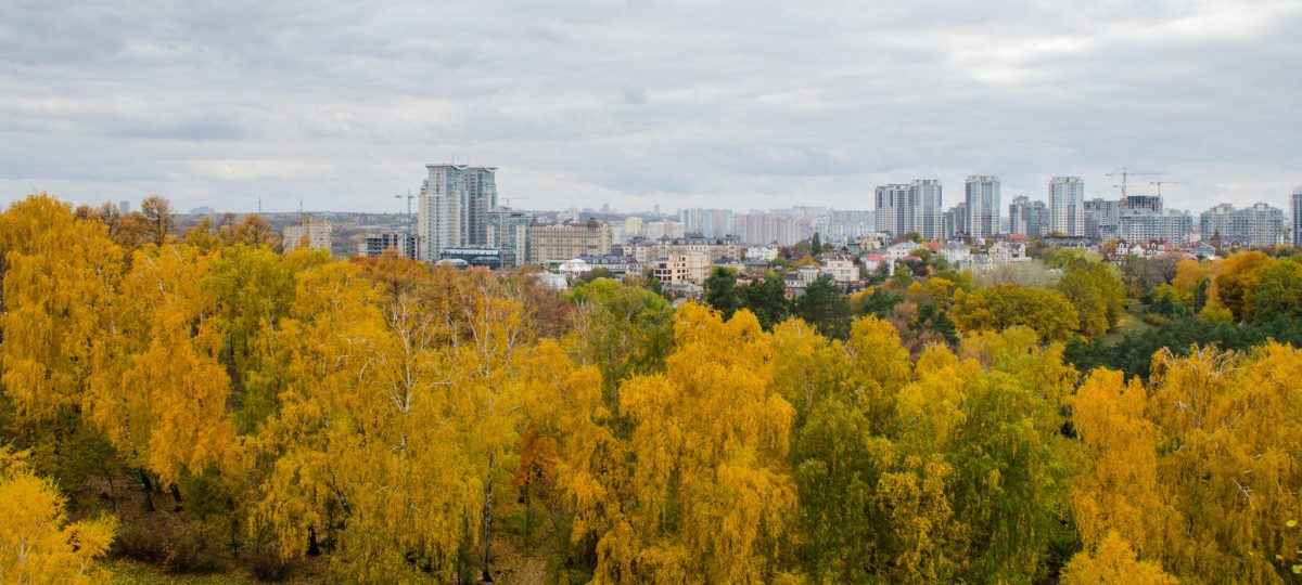 panorama miasta wraz ze ścianą drzew